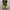 Streetwear Boots Pria tan photo 1