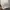 COAX 76 MOTOR SPORT ZIPHOODIE photo 6