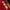 Streetwear Skater Sweatshirt Pria red photo 5