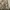Minimalist Wanita cream photo 1