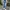 Minimalist Wide leg jeans Wanita blue photo 1