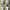 Beaumont carr poem double zipper & layer sleeveless hoodie photo 2