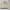 Piko Sports Vintage Casual Sweater Pria cream photo 1