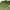 [NEW] Green Emerald Dress Daster Hijau Tua M LD 96 P 88 photo 4