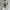 Kaos STRANGER THINGS - Netflix - ori photo 1