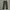 Uniqlo Chino Pants, Reguler Fit 100% Cotto, Size 34 