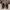 ECCO Urban Xplorer Brown Leather Boots Original Size 42 Deep photo 4
