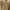 Casual Sweater Wanita khaki cream photo 1