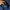 Coach New York Luxury Camouflage Navy Windbreaker Jacket photo 10
