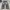 Streetwear Grunge Jeans Pria black gray photo 3