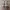 VANS Emo Casual Casual shoe Pria white photo 4