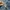 Levi's Lot 511 W 32, L 34 photo 4