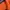 Carhartt Streetwear Skater Hoody Pria orange photo 3