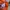 Carhartt Streetwear Skater Hoody Pria orange photo 4