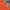 Carhartt Streetwear Skater Hoody Pria Orange