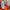 Carhartt Streetwear Skater Hoody Pria orange photo 5