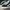 VANS Emo Casual Casual shoe Pria white black photo 2