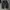 Streetwear Skater Jeans Pria black gray photo 2