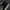 Converse Emo Indie Sneakers Pria white black photo 4
