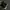 Converse Emo Indie Sneakers Pria white black photo 5