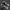 Converse Emo Indie Sneakers Pria white black photo 3