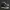 Converse Emo Indie Sneakers Pria white black photo 2
