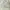 Vintage Y2K Cami top Wanita white photo 1