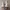 VANS Emo Casual Casual shoe Pria white cream photo 4