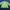Windbreaker Eider photo 4