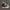 Converse Emo Indie Sneakers Pria white red photo 2
