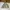 Partimento utility canvas jacket photo 1