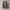 VANS Emo Casual Casual shoe Pria tan photo 5