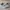 VANS Emo Casual Casual shoe Pria tan photo 1