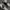 VANS Indie Casual Sneakers Pria white gray photo 3
