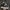 VANS Indie Casual Sneakers Pria white gray photo 1