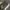 VANS Indie Casual Sneakers Pria white gray photo 4
