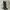 Grunge Goth Knee high boots Wanita black photo 1