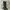 Grunge Goth Knee High Boots Wanita Black