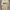 O'Neill Vintage Y2K T-shirt Pria Cream