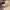 O'Neill Vintage Y2K T-shirt Pria cream photo 5