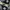 Converse Emo Indie Sneakers Wanita white black photo 6