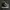 Converse Emo Indie Sneakers Wanita white black photo 2