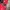TNF Gore-Tex® Red Series Original photo 10