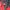 TNF Gore-Tex® Red Series Original photo 5
