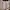 Beams Minimalist Casual Casual shirt Pria multicolor photo 4