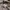 Beams Minimalist Casual Casual shirt Pria multicolor photo 6
