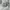 On clud running shoes authentic photo 1