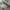 On clud running shoes authentic photo 8