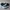 Converse Emo Casual Casual Shoe Pria White Black