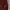 Lyle & Scott Sportswear Casual Fleece Pria burgundy photo 4